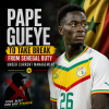 Portrait of footballer Pape Gueye wearing a Senegal national team jersey.